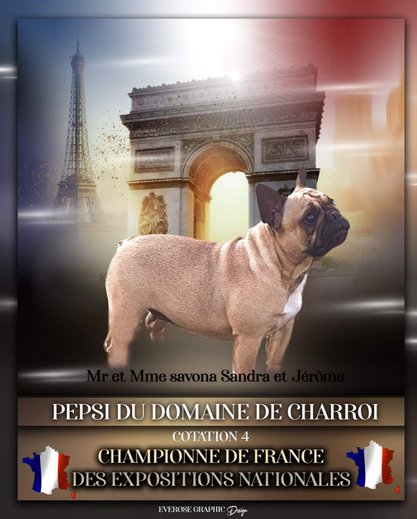 Du Domaine De Charroi - Nouvelle Championne de France des Expositions Nationales 