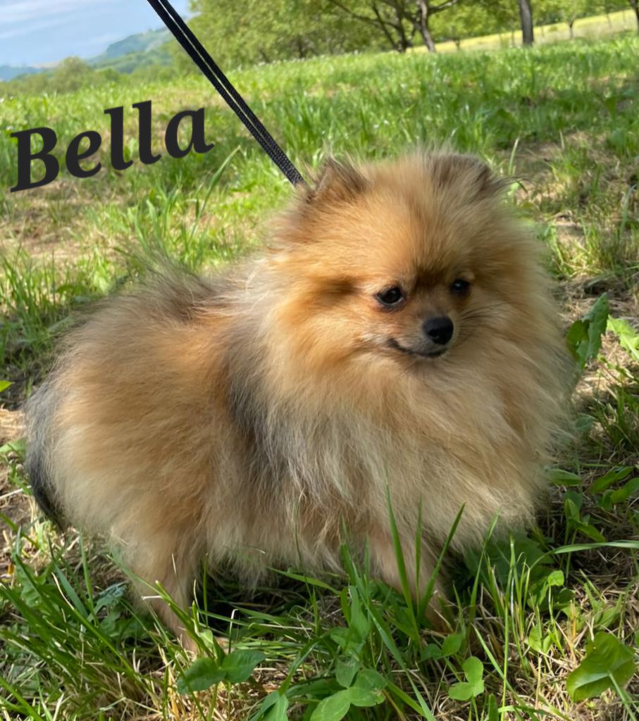Una bella Du Domaine De Charroi