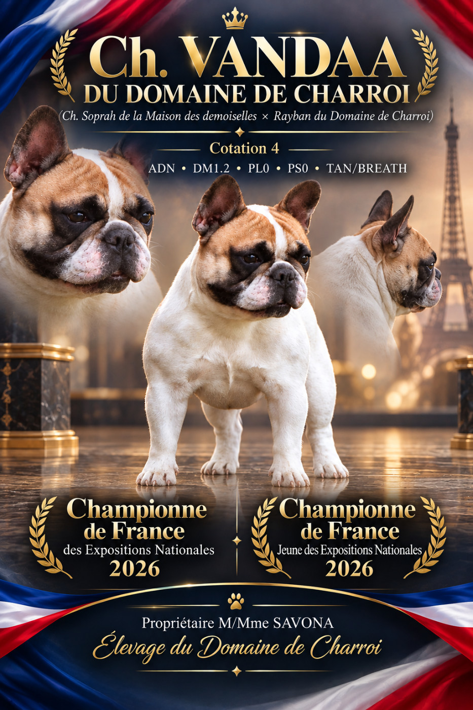 Nouvelle CHAMPIONNE DE FRANCE DES EXPOSITIONS NATIONALES Jeune et Adulte