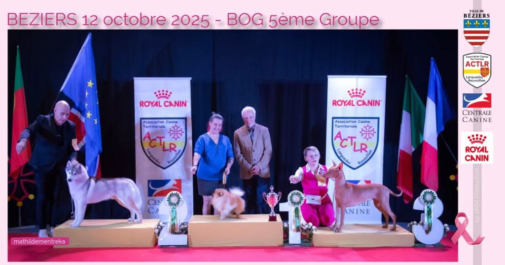 Exposition Nationale et Internationale de Beziers 2025