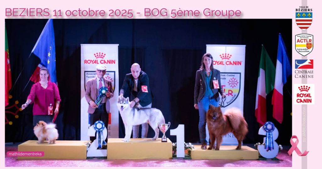 Exposition Nationale de Beziers 2025